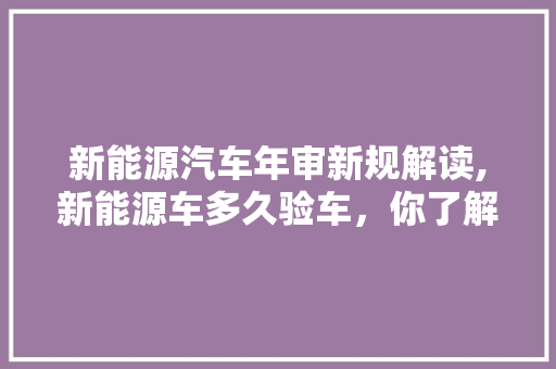 新能源汽车年审新规解读,新能源车多久验车，你了解多少  第1张