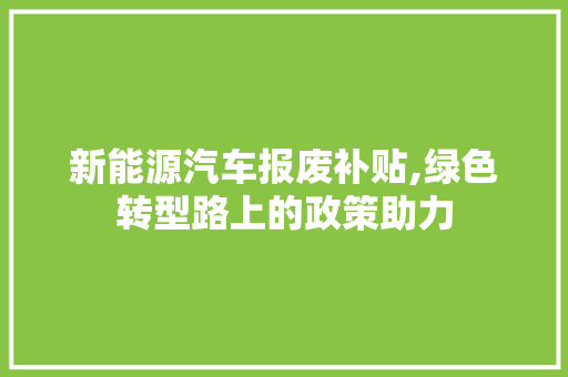 新能源汽车报废补贴,绿色转型路上的政策助力  第1张