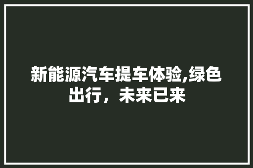 新能源汽车提车体验,绿色出行，未来已来  第1张