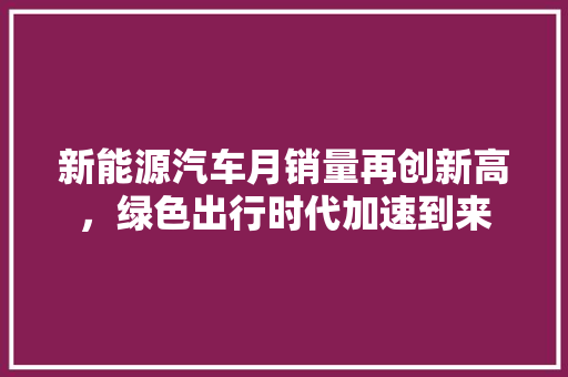 新能源汽车月销量再创新高，绿色出行时代加速到来  第1张