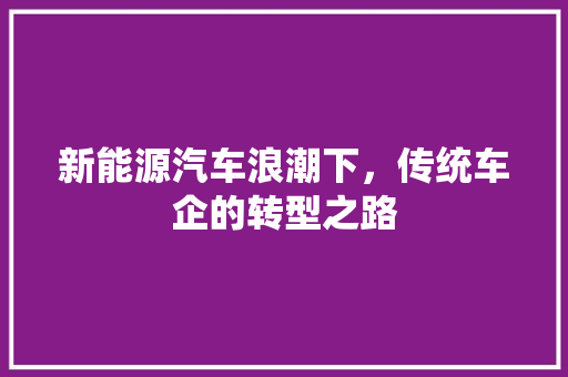 新能源汽车浪潮下，传统车企的转型之路  第1张