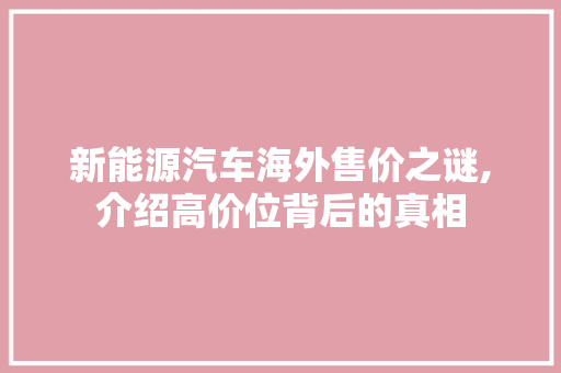 新能源汽车海外售价之谜,介绍高价位背后的真相  第1张