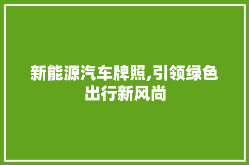 新能源汽车牌照,引领绿色出行新风尚  第1张