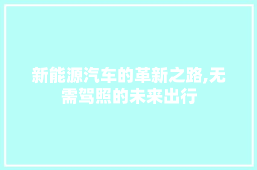 新能源汽车的革新之路,无需驾照的未来出行  第1张