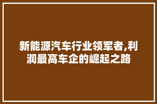 新能源汽车行业领军者,利润最高车企的崛起之路