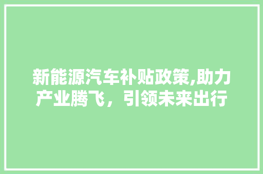 新能源汽车补贴政策,助力产业腾飞，引领未来出行  第1张