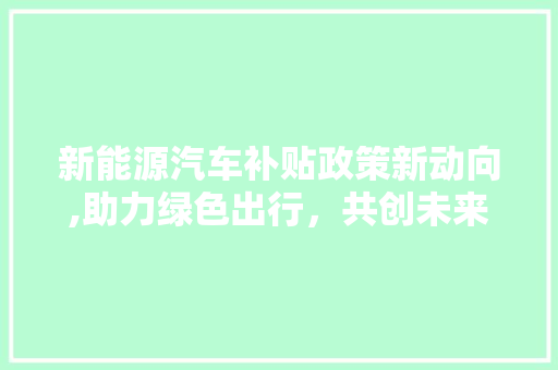 新能源汽车补贴政策新动向,助力绿色出行，共创未来  第1张