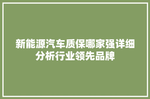 新能源汽车质保哪家强详细分析行业领先品牌