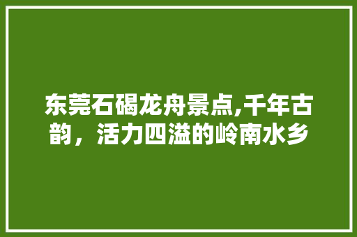 东莞石碣龙舟景点,千年古韵，活力四溢的岭南水乡