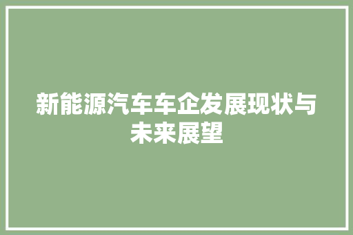 新能源汽车车企发展现状与未来展望  第1张