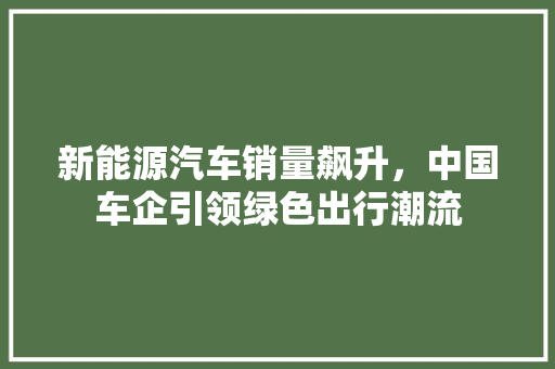 新能源汽车销量飙升，中国车企引领绿色出行潮流  第1张