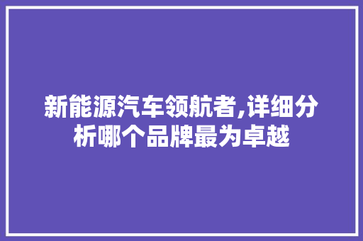 新能源汽车领航者,详细分析哪个品牌最为卓越  第1张