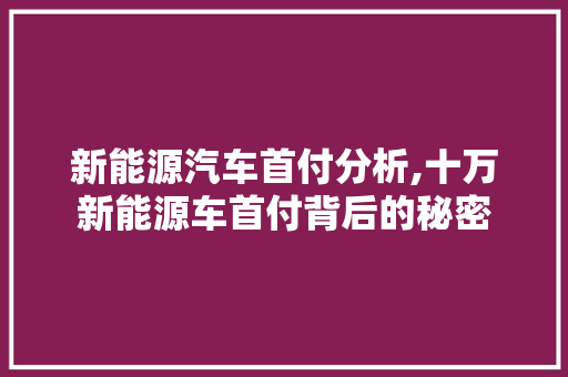 新能源汽车首付分析,十万新能源车首付背后的秘密