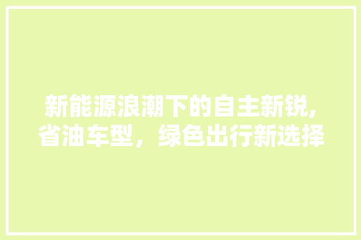 新能源浪潮下的自主新锐,省油车型，绿色出行新选择  第1张