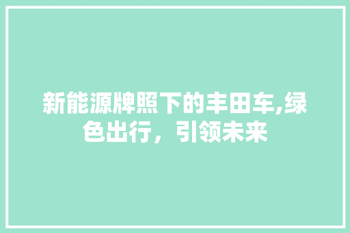 新能源牌照下的丰田车,绿色出行，引领未来  第1张