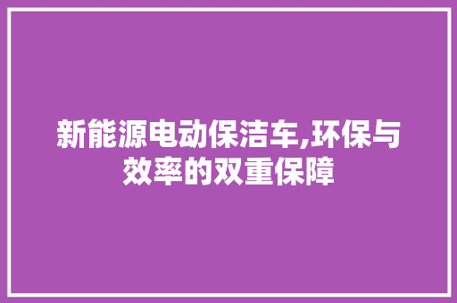 新能源电动保洁车,环保与效率的双重保障  第1张