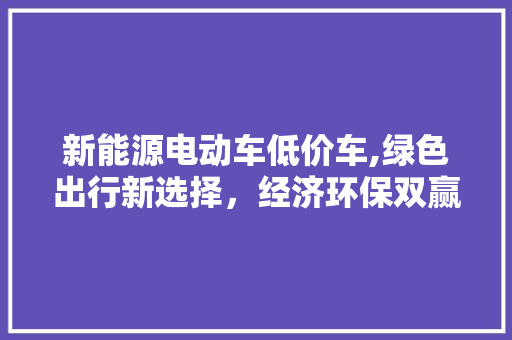 新能源电动车低价车,绿色出行新选择，经济环保双赢之路  第1张