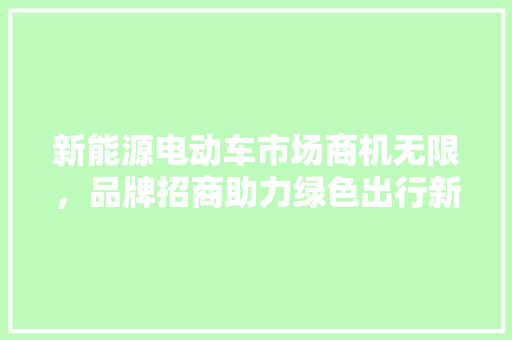 新能源电动车市场商机无限，品牌招商助力绿色出行新时代  第1张