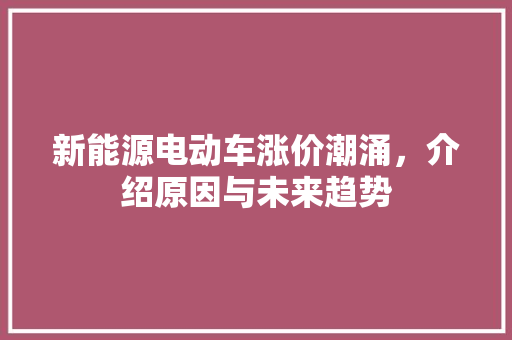 新能源电动车涨价潮涌，介绍原因与未来趋势  第1张