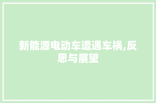 新能源电动车遭遇车祸,反思与展望  第1张