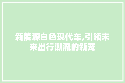 新能源白色现代车,引领未来出行潮流的新宠  第1张