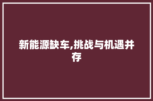 新能源缺车,挑战与机遇并存  第1张