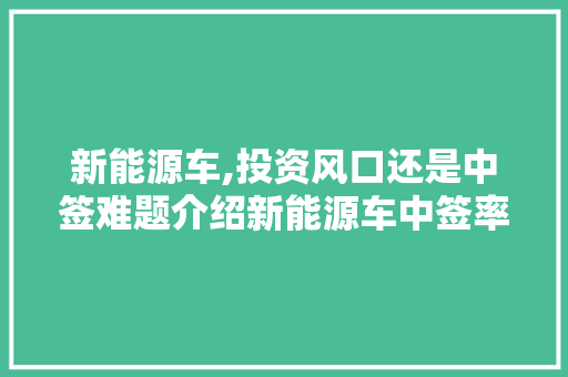 新能源车,投资风口还是中签难题介绍新能源车中签率之谜  第1张