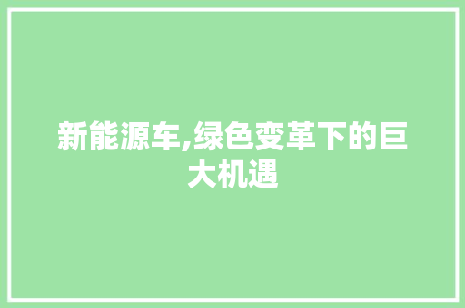 新能源车,绿色变革下的巨大机遇  第1张