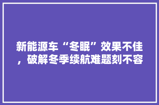 新能源车“冬眠”效果不佳，破解冬季续航难题刻不容缓  第1张