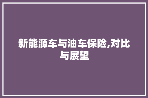 新能源车与油车保险,对比与展望