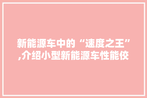 新能源车中的“速度之王”,介绍小型新能源车性能佼佼者  第1张