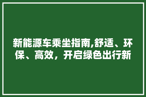 新能源车乘坐指南,舒适、环保、高效，开启绿色出行新篇章  第1张