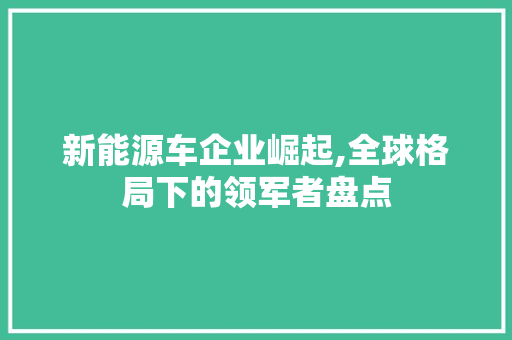 新能源车企业崛起,全球格局下的领军者盘点  第1张