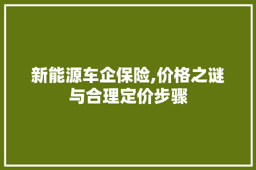 新能源车企保险,价格之谜与合理定价步骤  第1张