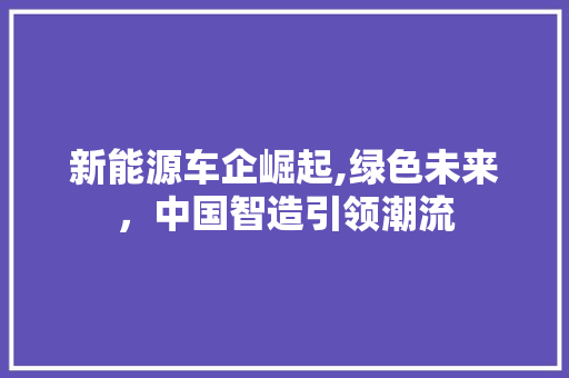 新能源车企崛起,绿色未来，中国智造引领潮流  第1张