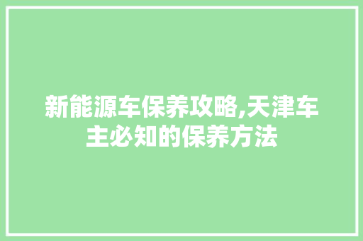 新能源车保养攻略,天津车主必知的保养方法  第1张