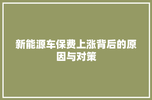 新能源车保费上涨背后的原因与对策