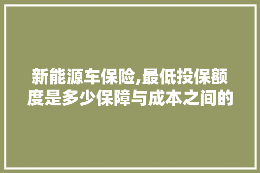 新能源车保险,最低投保额度是多少保障与成本之间的平衡之路  第1张