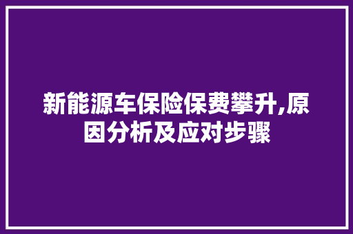 新能源车保险保费攀升,原因分析及应对步骤  第1张