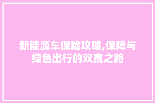 新能源车保险攻略,保障与绿色出行的双赢之路  第1张