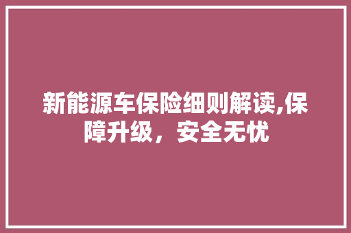 新能源车保险细则解读,保障升级，安全无忧