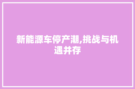 新能源车停产潮,挑战与机遇并存  第1张