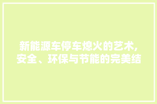 新能源车停车熄火的艺术,安全、环保与节能的完美结合