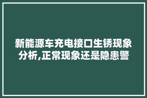 新能源车充电接口生锈现象分析,正常现象还是隐患警告  第1张