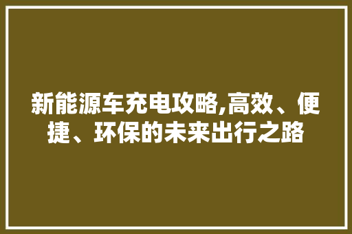 新能源车充电攻略,高效、便捷、环保的未来出行之路  第1张