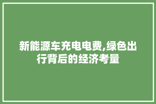 新能源车充电电费,绿色出行背后的经济考量