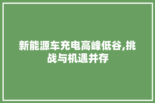 新能源车充电高峰低谷,挑战与机遇并存  第1张