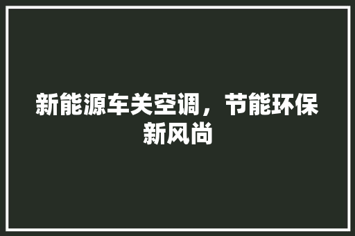 新能源车关空调，节能环保新风尚  第1张