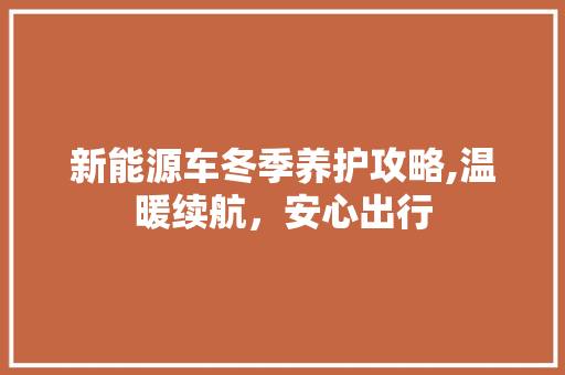 新能源车冬季养护攻略,温暖续航，安心出行  第1张