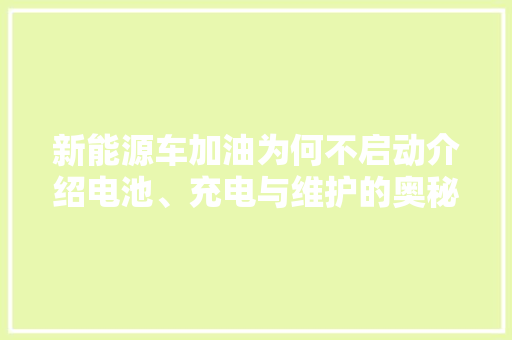 新能源车加油为何不启动介绍电池、充电与维护的奥秘  第1张